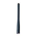 Antena de Petrainer