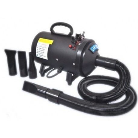 Secador FOLK SC-01 - 2400w 