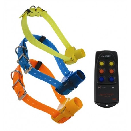 Set Canibeep Radio Pro