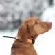 RECEPTOR LOCALIZADOR GPS DOGTRACE X20