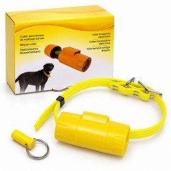 Beeper pilas amarillo