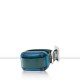 Receptor Dogtrace MINI+