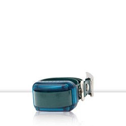 Receptor Dogtrace MINI+
