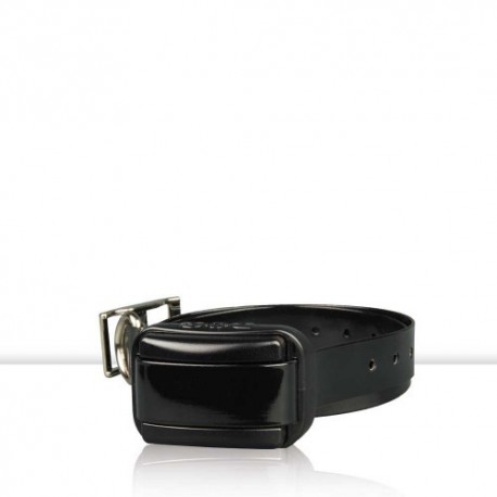 Receptor Dogtrace PRO MINI